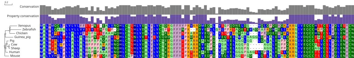 Preproinsulin across nine vertebrates, beside its tree in JBrowseMSA. The B and A chains of mature insulin stay conserved under the conservation bars, while the C-peptide between them varies.