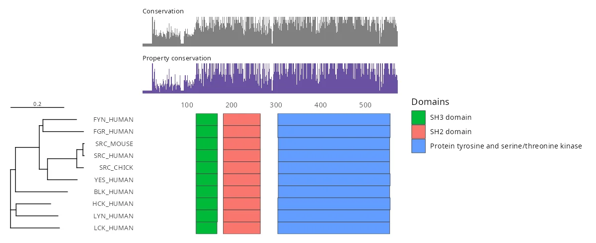 Ten Src-family kinases with their InterPro domains drawn by ggmsaview. The SH3, SH2 and kinase domains line up in every member, the unique N-terminal region before them varying in length.