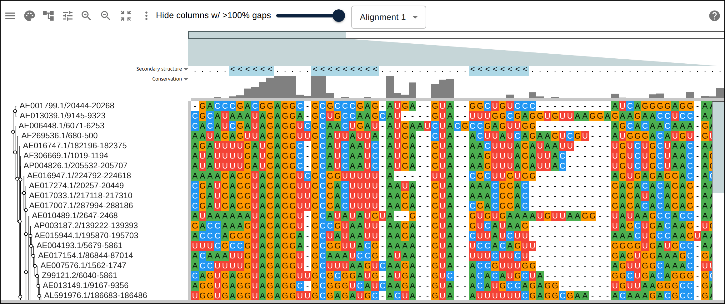 A real ~60-sequence lysine-riboswitch family and its full inferred tree, rendered through the tiled canvas system that keeps large alignments responsive.