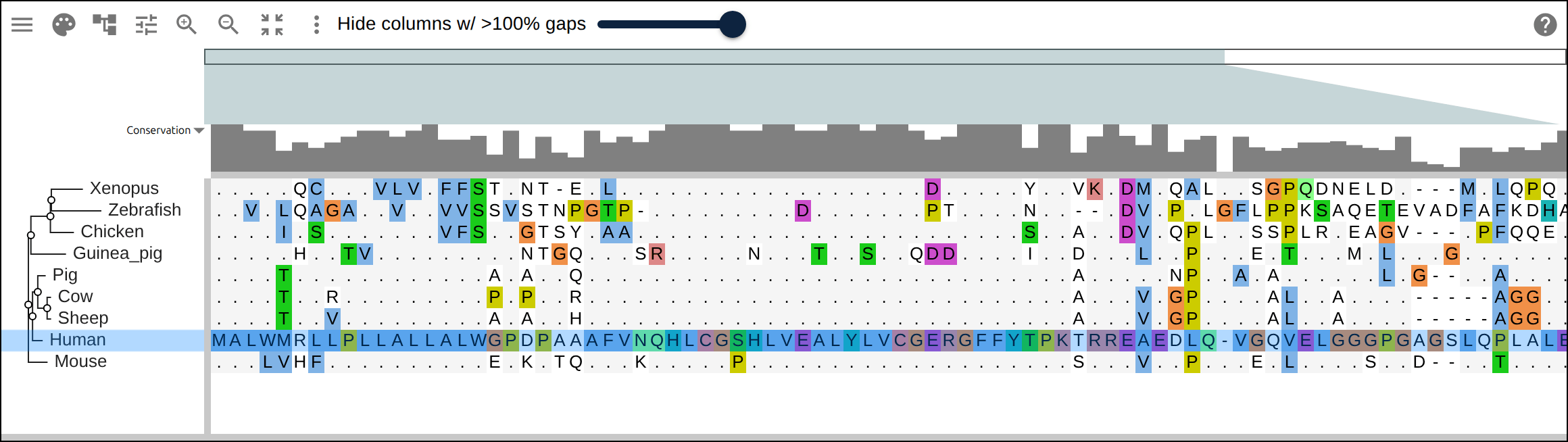 Insulin relative to human: the mature B and A chains stay conserved (dots) while the cleaved-out C-peptide drifts (letters) — the same dot-diffing reading out where a protein is under selection.