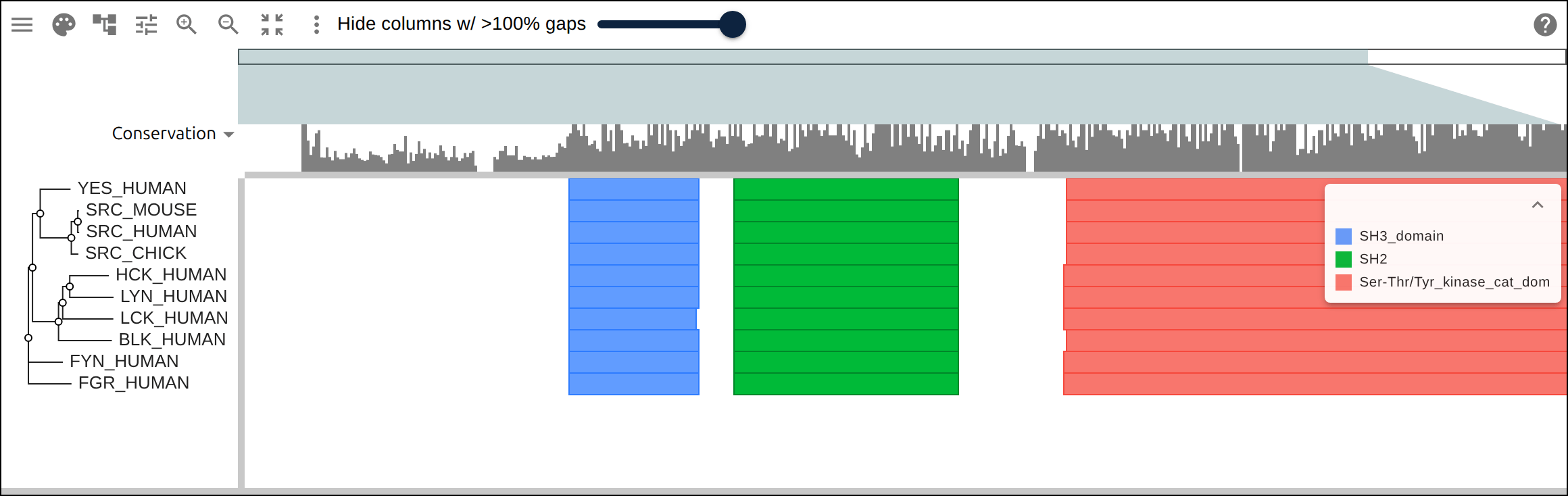 The Src-family kinases with InterProScan annotations: the shared SH3 + SH2 + kinase domain blocks line up down every member, so the family’s domain layout reads straight across the alignment.