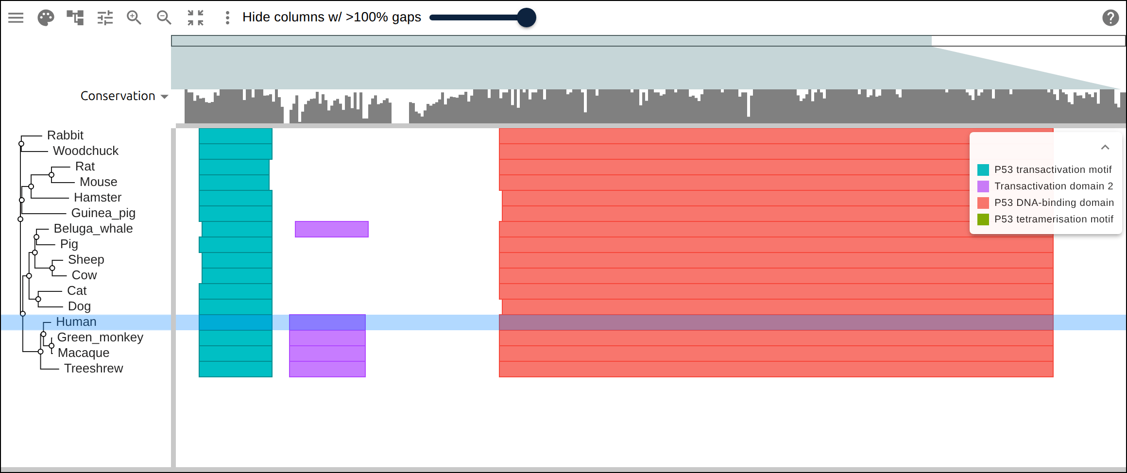 p53’s InterProScan domains overlaid: the central DNA-binding domain (red) — where most cancer mutations cluster — forms the bulk of the protein, flanked by the short N-terminal transactivation motifs. The overlay maps the functional architecture onto the alignment.