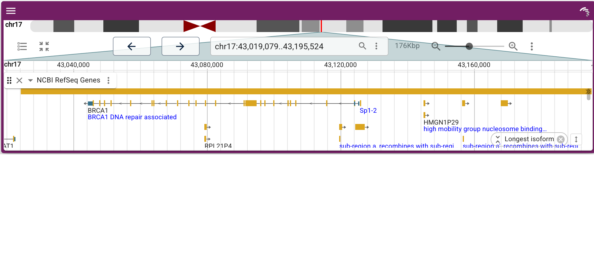 NCBI RefSeq genes at BRCA1