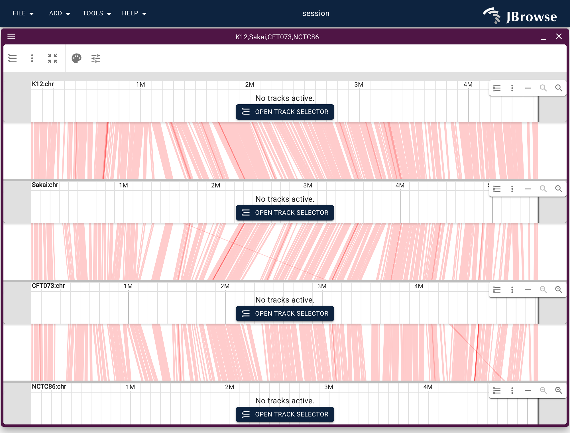 Four E. coli strains stacked, with the blocks each adjacent pair shares drawn between the rows