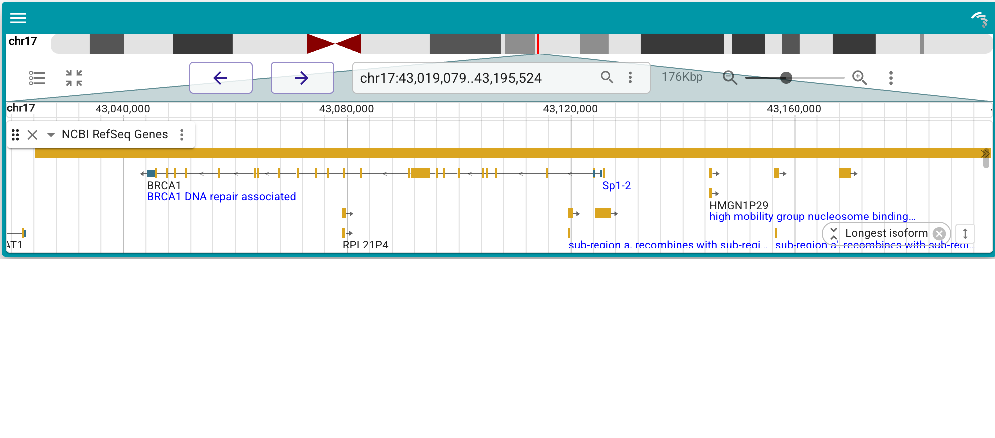 Custom-themed browser